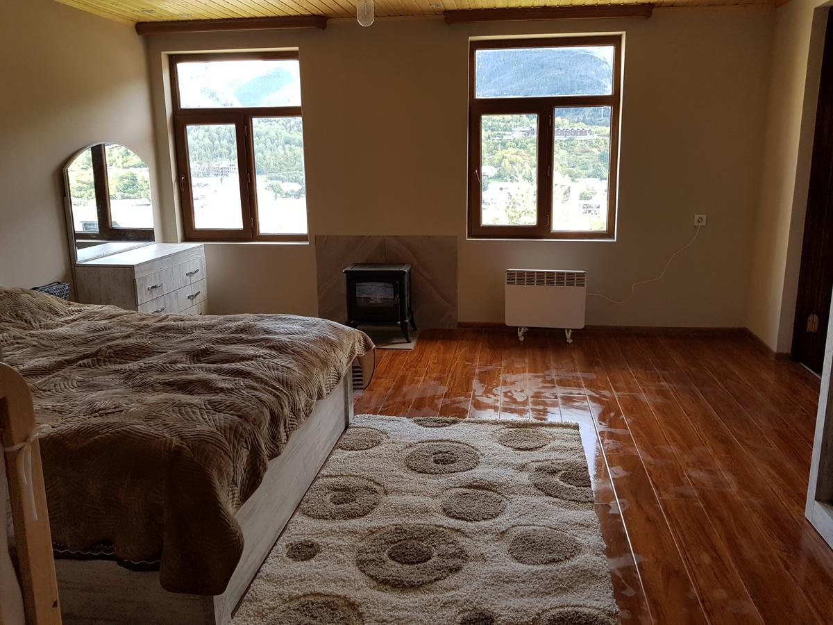Guest House Goshtela ميستيا المظهر الخارجي الصورة